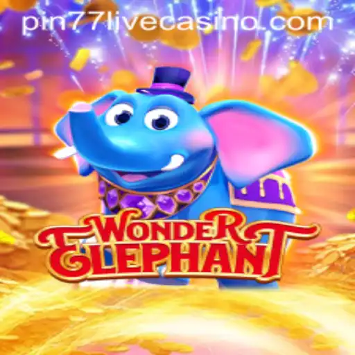 Discovering WonderElephant: The Fascinating World of Pin77